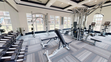 Newly renovated fitness center with free weights, smith machine and cardio equipment